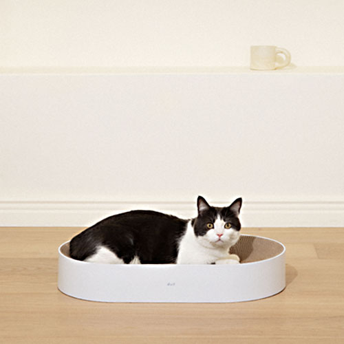 ���� �õ��̺���