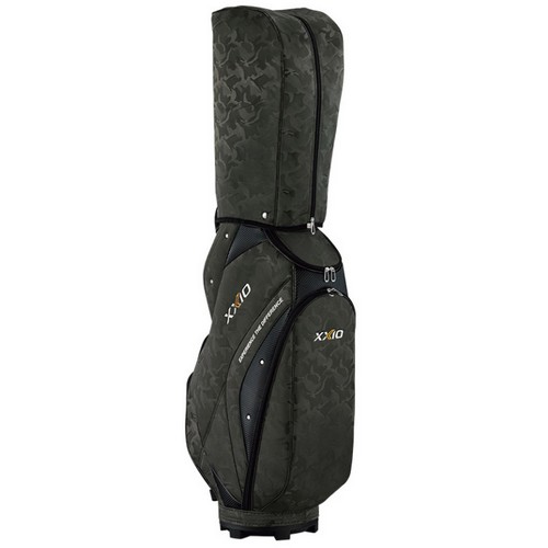 ���� ���ÿ� �ƽ �淮 ĳ��� GGC-X161