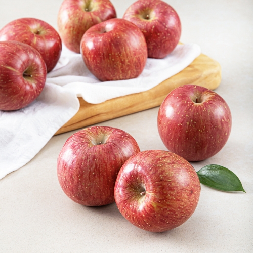 ���� GAP �絵���� ��â��� 1�� 1.5kg