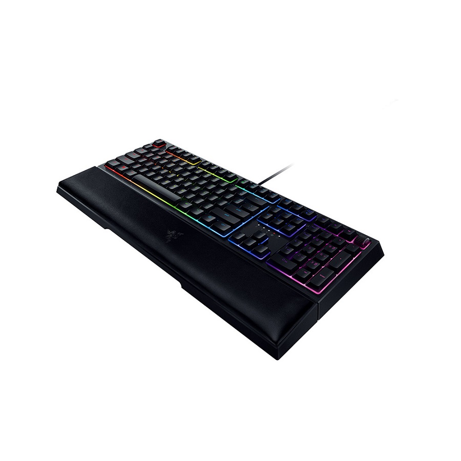 Razer ORNATA V2_이미지
