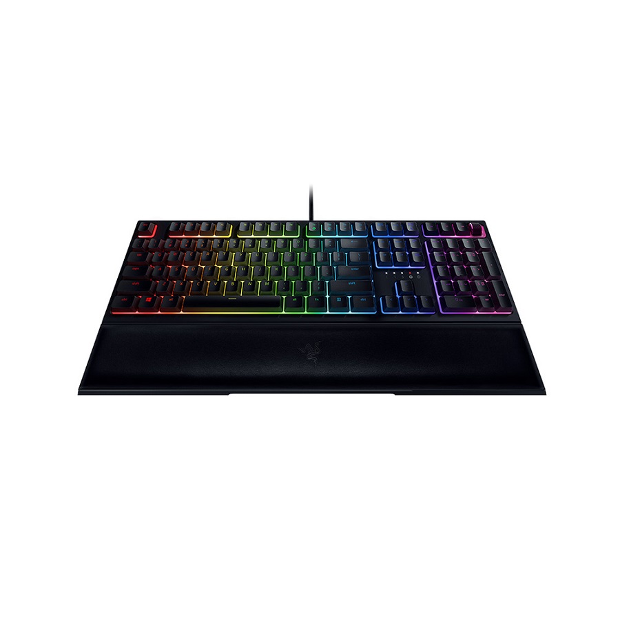 Razer ORNATA V2