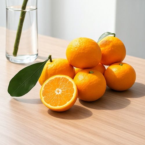 햇 남진해 특등급 4kg