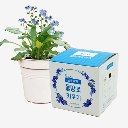 [�Ҹ�] ������_������ Ű���-Ʒ�򼼻�