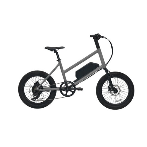 ���������� ����Ʈ�� ��Ƽ (2024����)