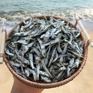 바다어보 남해안 햇 건 정어리 500g 솔치 청어 멸치 볶음멸치