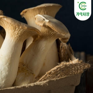 가락시장 새송이버섯 500g