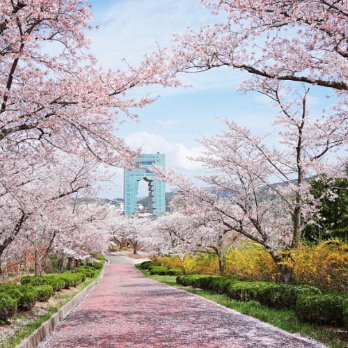 ㅤ경주 엑스포대공원 이용권 (경북) (소인)_이미지