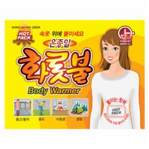 TPG 온종일 화롯불 파스형 40g (240개)