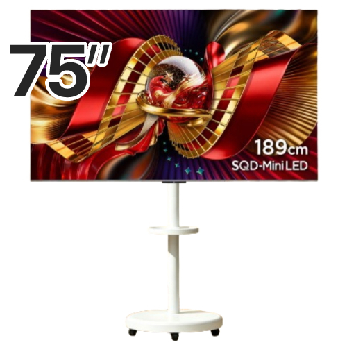 TCL 75C8L 이동형 패키지_이미지