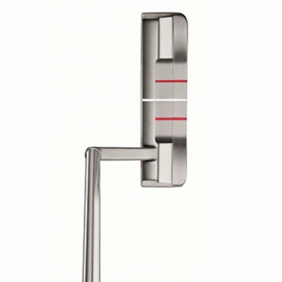 �̺�� ���Ʈ��ũ Ʈ���̳� ����