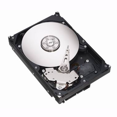 Seagate BarraCuda 7200.10 EIDE/7200.10/8M (ST3250820A, 250GB)_이미지