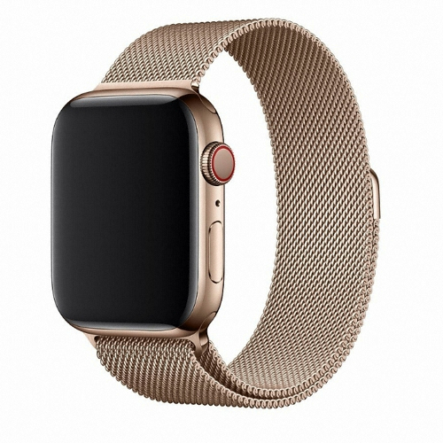 APPLE 워치 골드 밀레니즈 루프 (38mm/40mm)_이미지