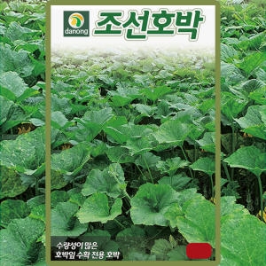 다농 조선호박 씨앗 호박 씨 종자 30립_이미지