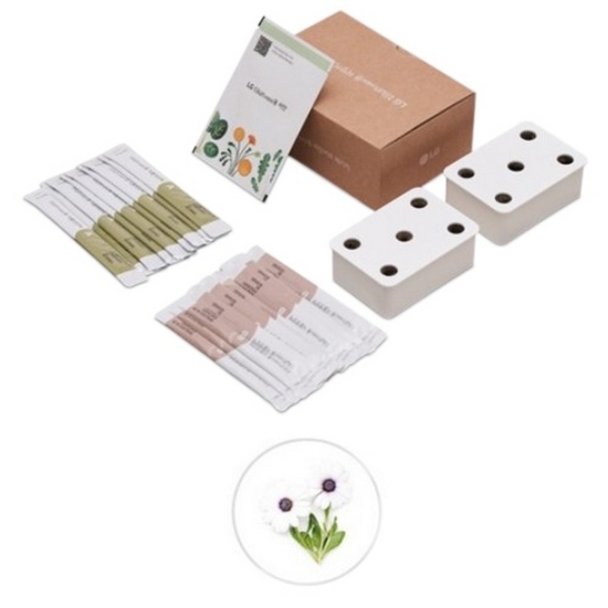 LG전자 틔운 미니 씨앗키트 패키지 오스테오스퍼멈 흰색_이미지