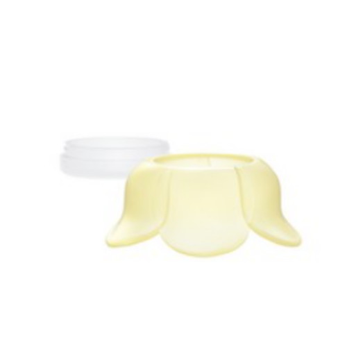 ������ ũ����� �̳��� ���̵� �ö��