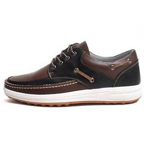 케이지디 앤드윅스 퀘이사 브라운