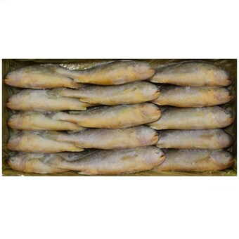 해물총각 부세<b>조기</b> 15개(마리) 3.4kg