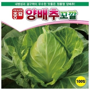 아시아종묘 양배추씨앗종자 꼬깔양배추 100립_이미지