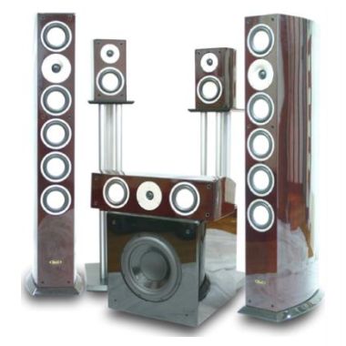 포칼 CHORUS C1F/C/S, SW-310B