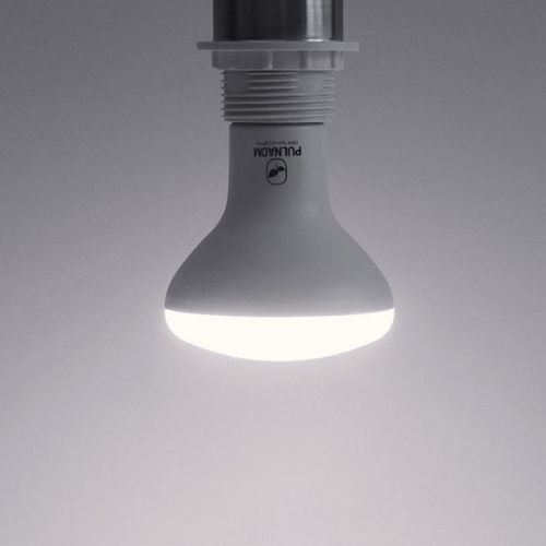 마이플랜트 풀나옴 LED 식물등 벌브전구 주광색 15W