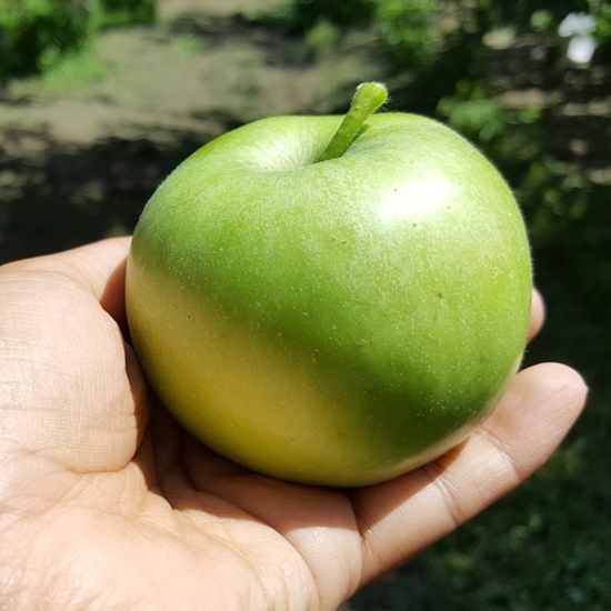 ��ǰ �� �̹���