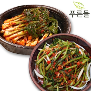 푸른들 전라남도 함평김치 / 파김치 1kg + 열무김치 1kg_이미지