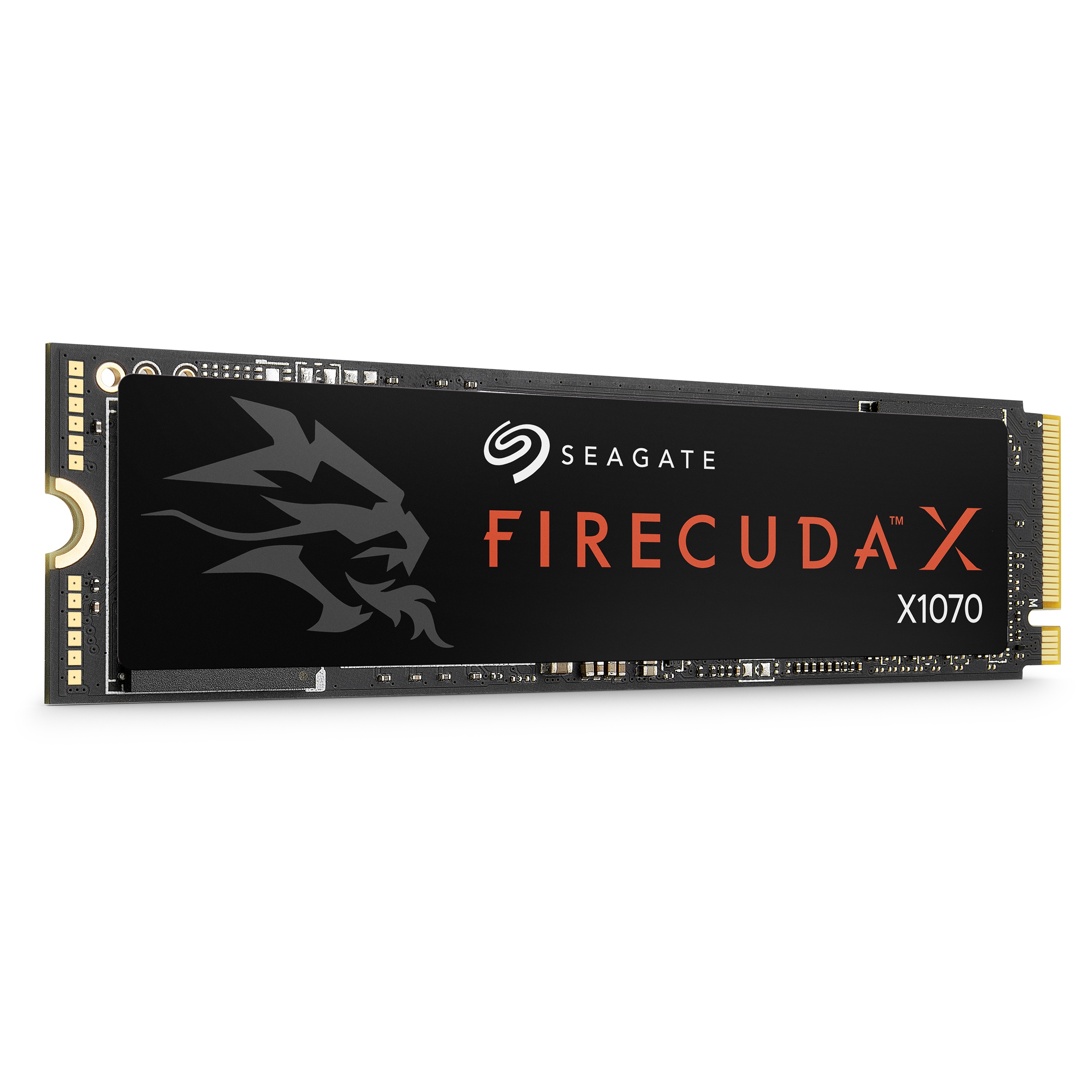 Seagate 파이어쿠다 X1070 M.2 NVMe (4TB)_이미지