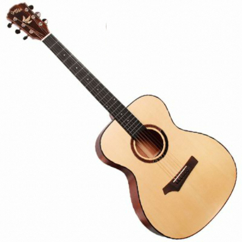 고퍼우드 i110_이미지