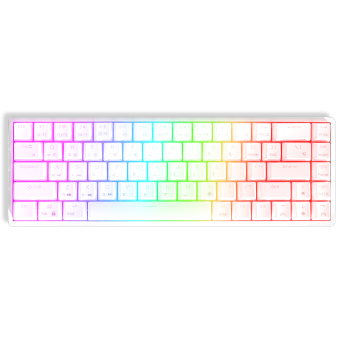 엠스톤글로벌 Rooky 68BT RGB (갈축)