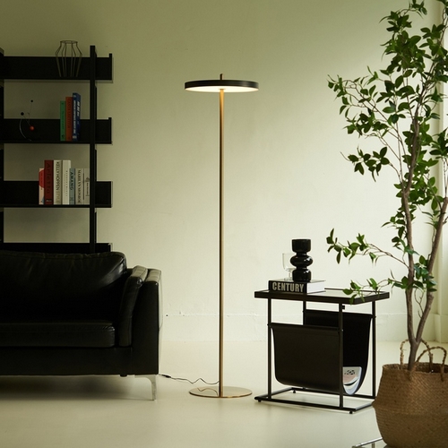 ���������� ���ǾƳ� LED ����ƾ �彺�ĵ�