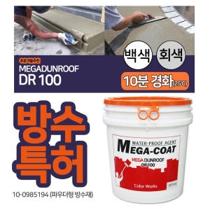  메가던롭 DR100 초속경 고강도 보수 몰탈 방수특허 5분경화