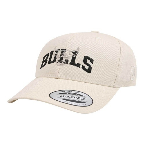 NBA ��ī���ҽ� CHI ��ġ�� ���� �ɺ� �ϵ庼ĸ N245AP422P