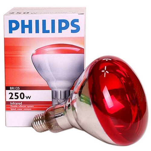 �ʸ��� R95E ���ܼ� ���� 250W