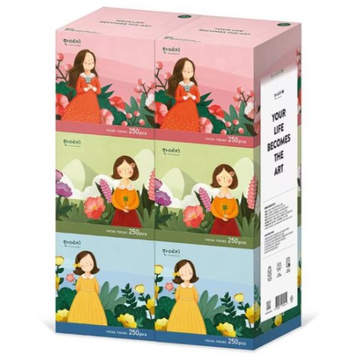한예지 캐릭터 미니 미용티슈 250매 (6입) (3팩(18입))_이미지