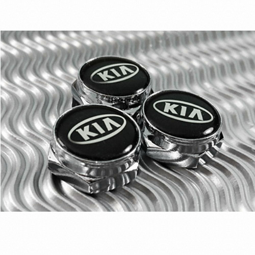 플러스타임 번호판 볼트 (기아)_이미지