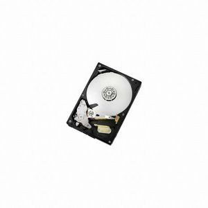Deskstar 7K1000.C SATA2/7200/16M/해외구매