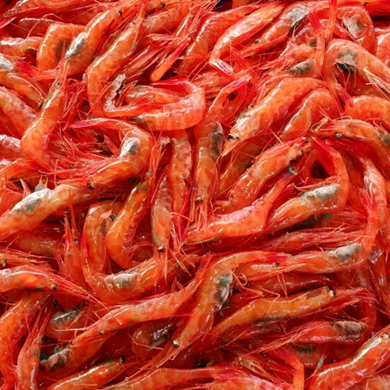 구룡포해풍수산 자연산 냉동 홍새우 55개(마리)내외 1kg (1개)