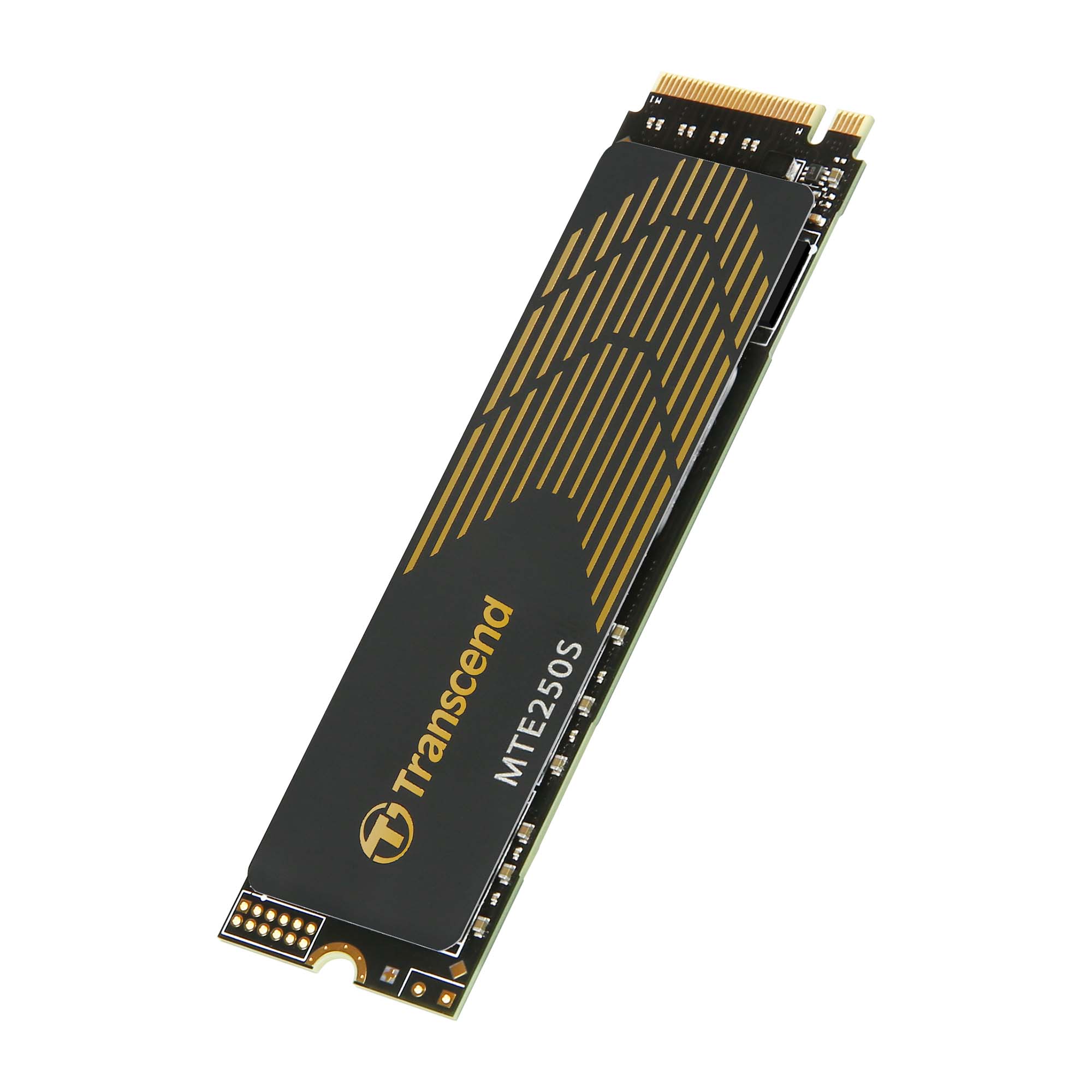 트랜센드 MTE250S M.2 NVMe 해외구매 (1TB)_이미지