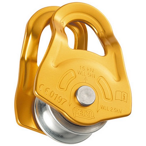 ���� ���