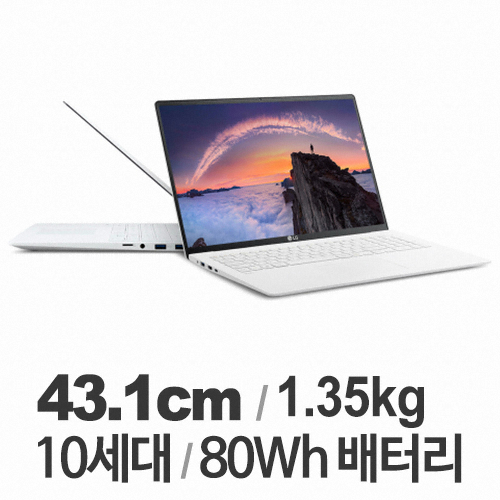 LG전자 2020 그램17 17ZD90N-VX70K WIN10 16GB램 (SSD 500GB)