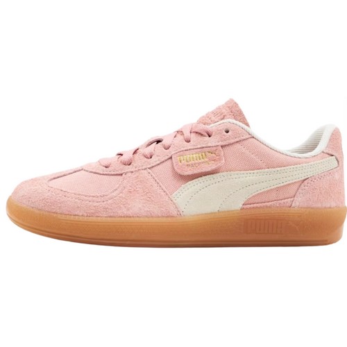 Ǫ�� �ȷ����� ��Ƽ�� 396841-10