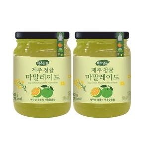 오뚜기 제주담음 제주 청귤 마말레이드 280g (2개)_이미지
