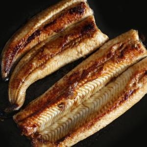 신선연구소 산지직송 두툼한 풍천 민물장어 2kg (1개)_이미지