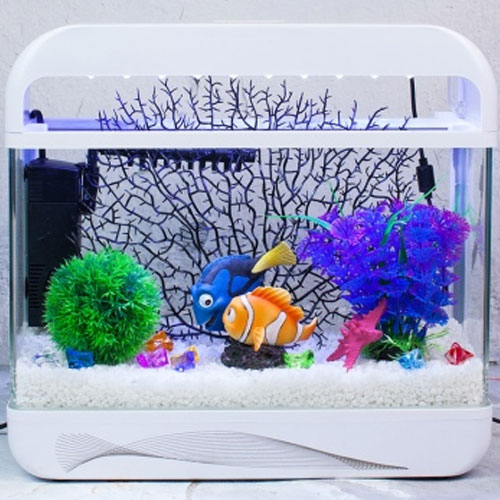 �Ƹ��� �Դϸ�� ���� Ǯ��Ʈ AMZ-2000A