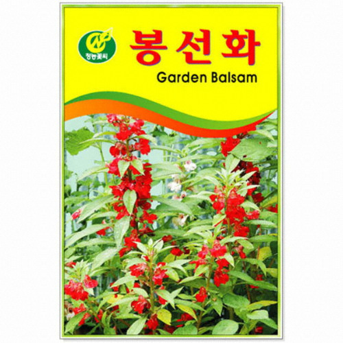 봉선화꽃씨앗 봉선화 꽃씨 꽃씨앗 봉선아 봉선화씨앗