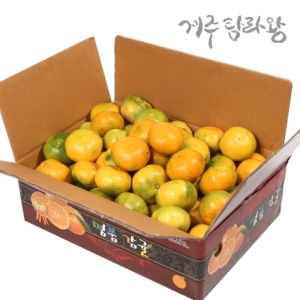  탐라왕농장 새콤달콤 햇귤 로얄과 5kg [1개]