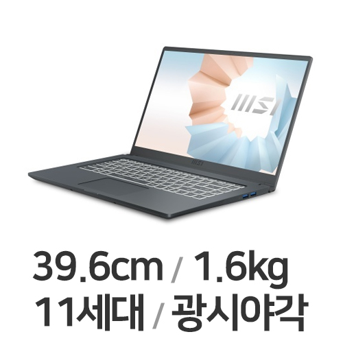 MSI 모던시리즈 모던15 A11M-i5 카본 그레이 WIN10 16GB램 (SSD 512GB)