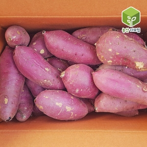 황토 햇 꿀밤고구마 왕특 10kg (1개)_이미지