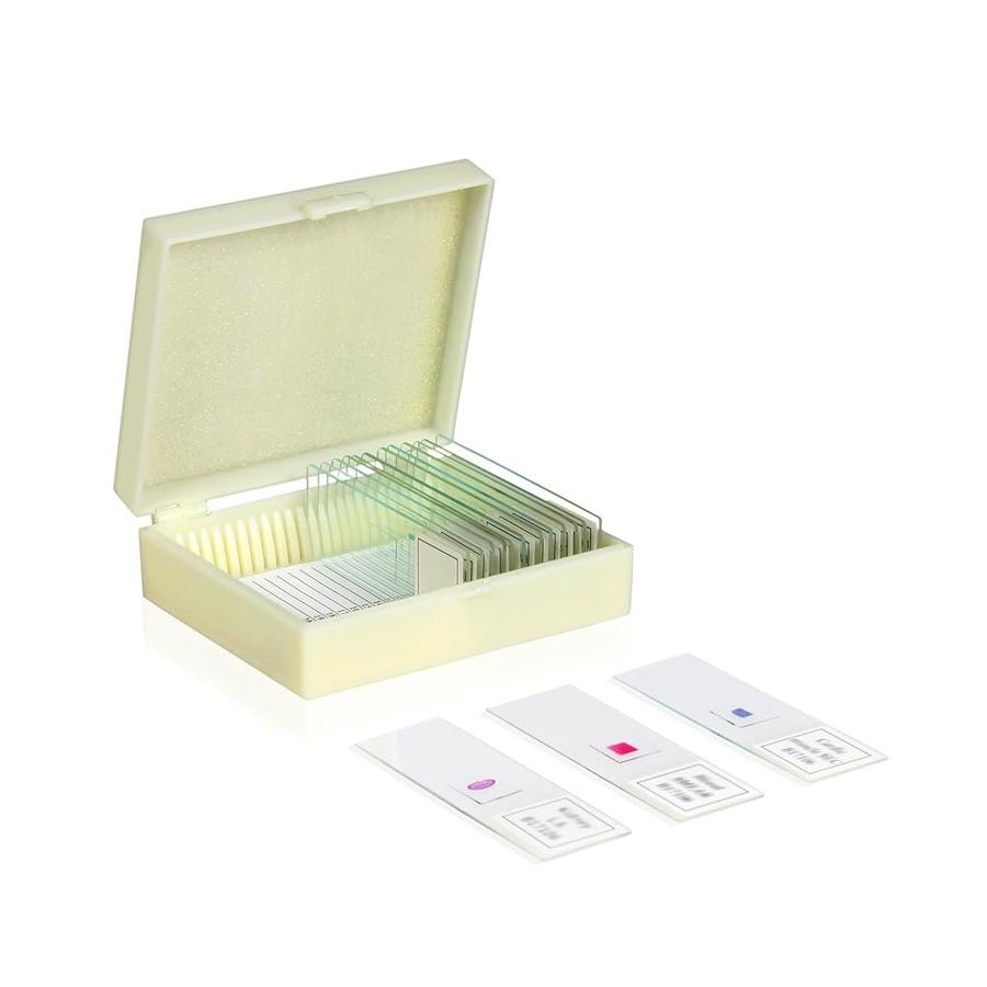 사이언티픽 VSH113 준비 슬라이드 세트 아포스티아 생물학 시리즈16개 편리한 보관을 위한 슬롯형 케이스 라벨이 명확하게..