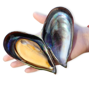 ���ɰ� �ڿ��� ȫ�� �� 1kg